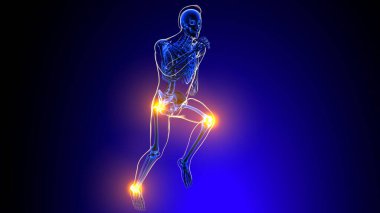 İnsan iskeleti eklem ağrısı Anatomisi Tıbbi Konsept 3D Resim