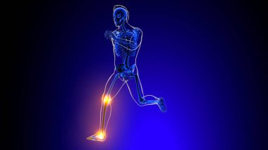 İnsan iskeleti eklem ağrısı Anatomisi Tıbbi Konsept 3D Resim