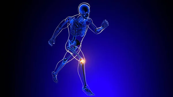 Kniegelenkschmerzen Anatomie Für Medizinisches Konzept Illustration — Stockfoto