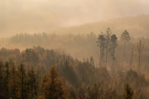 Misty Ομιχλώδη Λόφους Στην Ανατολή Φθινόπωρο Τοπίο — Φωτογραφία Αρχείου