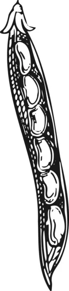 Vektorillustration Ett Gäng Vindruvor Med Blad Symbol Ikon Förpackningsdesign Abstrakt — Stock vektor