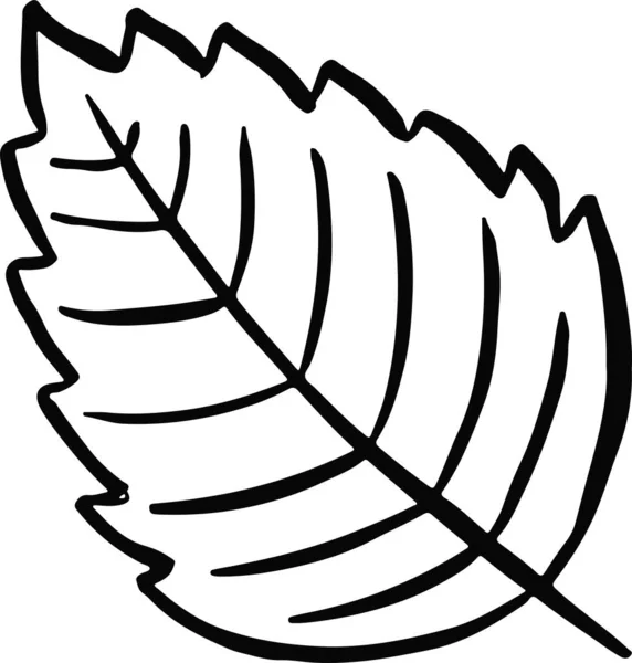 Ligne Vecteur Automne Feuilles Symbole Logo Noir — Image vectorielle