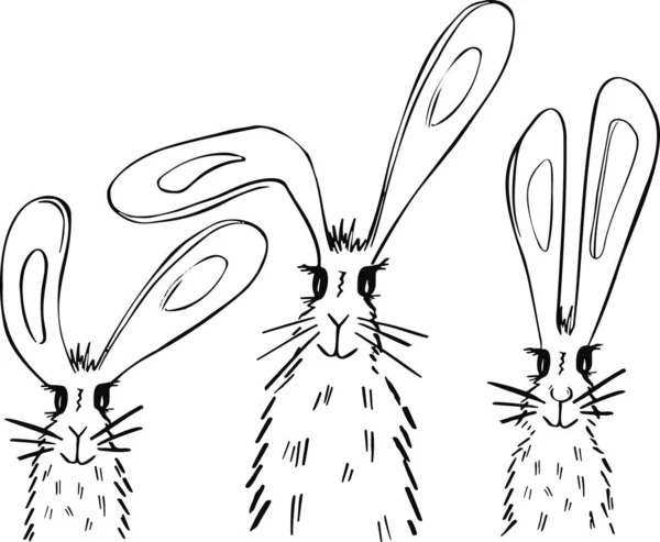 Line Vector Hare Rabbit Symbol Logo Black — Stock Vector