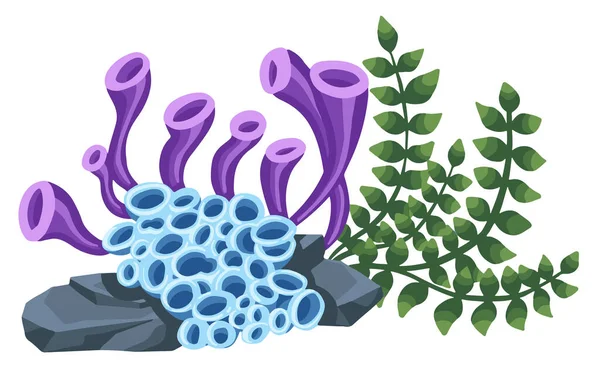 一連の海洋ベクトル植物 手描き藻類 — ストックベクタ