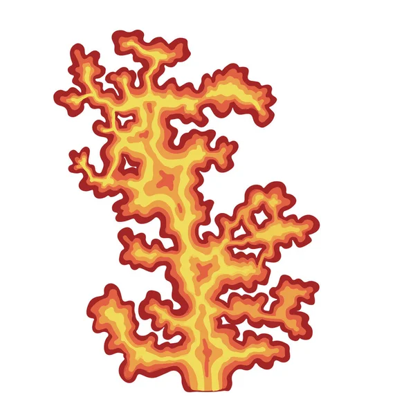 海洋ベクトル植物の集合 藻類の描画 — ストックベクタ