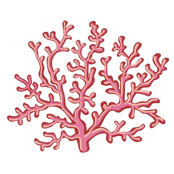 Deniz vektör bitkileri kümesi, çizilmiş algler.