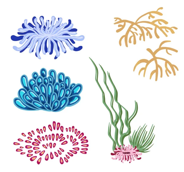Grass Flower, Sea Creatures, Cartoon, Marine Life, Drawing, Aquatic Animal,  Plant, Fruit, Sea Creatures, Cartoon, Sea png | PNGWing