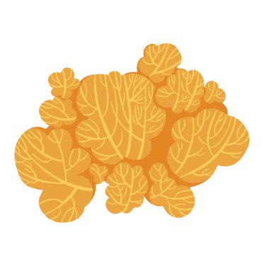 Deniz vektör bitkileri, el yapımı yosunlar.