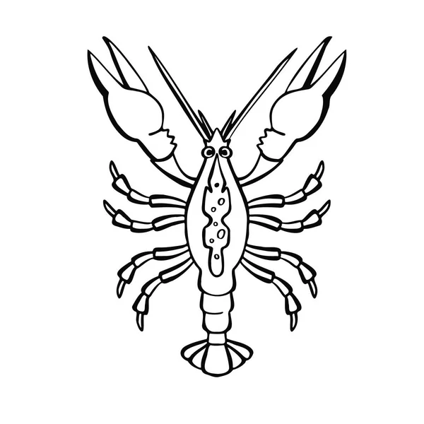 Crayfish Rosa Lanche Para Ilustração Vetorial Cerveja —  Vetores de Stock