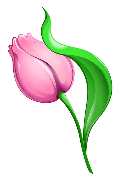 Rosa Cartoon Tulpe Mit Grünem Blatt Isoliert Auf Weißem Hintergrund — Stockvektor