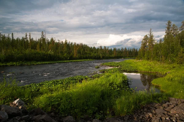 Siberia Río Taiga —  Fotos de Stock