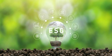 Ağ bağlantısında sürdürülebilir ve etik iş dünyasında çevre, sosyal ve yönetim için elde tutulan ampulde ESG simgesi kavramı. Büyüyen ağaçlı bir ampulün üzerindeki simge