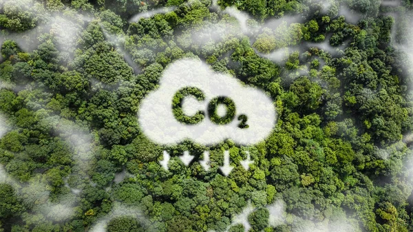Co2 Vit Dimma Koncept Som Visar Problemet Med Koldioxid Och — Stockfoto