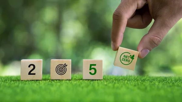 net zero by 2050 carbon neutral Zero net greenhouse gas emissions target Future goals and a climate-neutral long-term strategy Hand placed wooden block ball with net zero icon in 2050 green background.