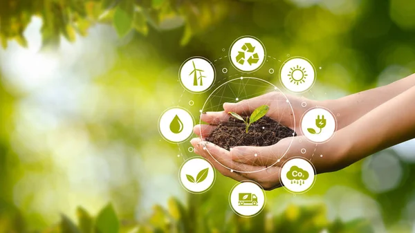 Hand Planting Trees Hands Esg Icon Concept Environmental Social Governance — Stock Photo, Image