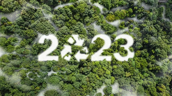 Wolken Den Zahlen 2023 Greenery Tree Bird View Umwelt Begrüßt Stockbild