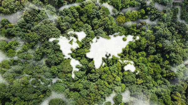 Der Weltkontinent Inmitten Der Natur Umgeben Von Grünen Bäumen Öko Stockbild