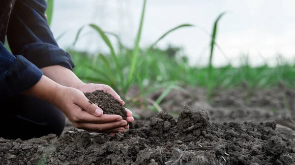 Eine Bäuerin Überprüft Die Bodenbeschaffenheit Bevor Sie Samen Oder Setzlinge Stockfoto