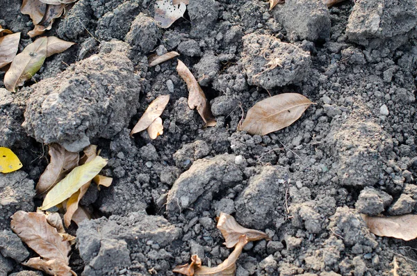 Kering Menggali Latar Belakang Tekstur Tanah Dengan Potongan Potongan Besar — Stok Foto