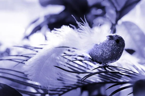 Artificial Bird Decoration Feather Tail Sitting Palm Tree Leaf Defocused — Stock Photo, Image