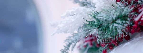 Köknar ağacı dallı soğuk Noel afişi, kırmızı böğürtlen, kar, bulanık arkaplan kopyalama alanı