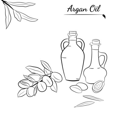 Organik eskiz. Meyveli arganya çizimi. El yapımı illüstrasyon. Organik eskiz..