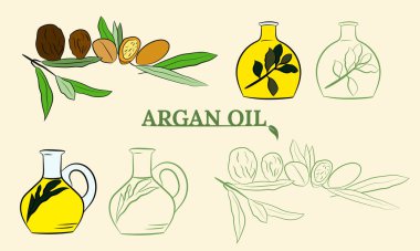 Organik eskiz. Meyveli arganya çizimi. El yapımı illüstrasyon. Organik eskiz..