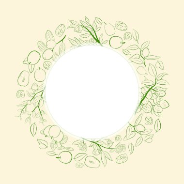 Meyveli, çiçekli ve yapraklı kokokoba dalları. Jojoba bitki koleksiyonu. Vektör çizimi botanik. Menü, etiket, paketleme tasarımı için elementler.