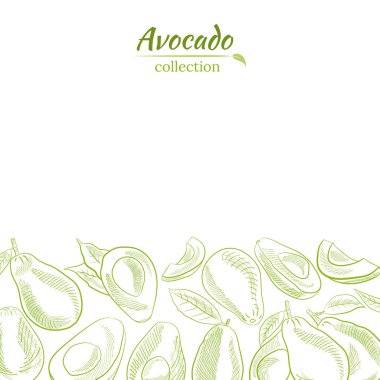 Avokado meyveleri elle çizilmiş gibi kusursuz bir desen. Avokado çizimi, dilimlenmiş ve yapraklar. Avokadonun botanik çizimi. Sulu tropik meyveler. Etiketler, posterler, baskılar için harika..