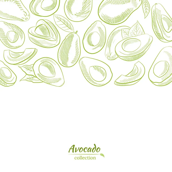 Avokado ve dilimler hazır. Avokado çizimi, dilimlenmiş ve yapraklar. Avokadonun botanik çizimi. Sulu tropik meyveler. Etiketler, posterler, baskılar için harika..