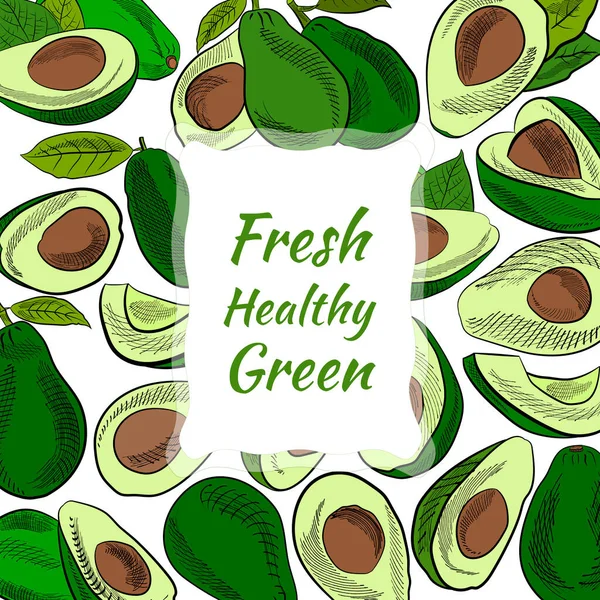Avokado ve dilimler hazır. Avokado çizimi, dilimlenmiş ve yapraklar. Avokadonun botanik çizimi. Sulu tropik meyveler. Etiketler, posterler, baskılar için harika..