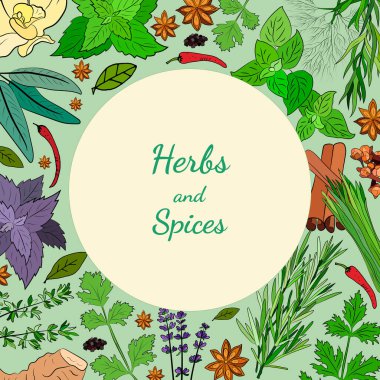 Mutfak baharatları ve şifalı bitkiler. Popüler mutfak bitkileri, doğal sağlık hizmetleri. Antika şifalı bitkiler ve bitkiler. Nane ve biberiye, fesleğen, kekik, maydanoz, dereotu, defne yaprağı, kekik, adaçayı.