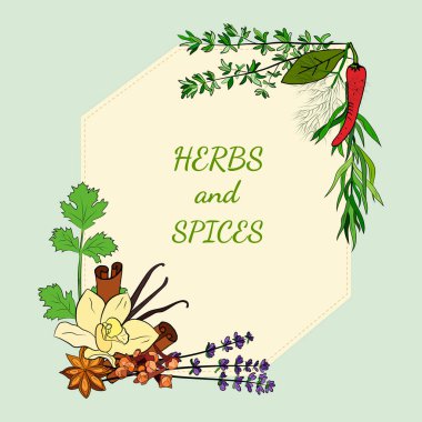 Mutfak baharatları ve şifalı bitkiler. Popüler mutfak bitkileri, doğal sağlık hizmetleri. Antika şifalı bitkiler ve bitkiler. Nane ve biberiye, fesleğen, kekik, maydanoz, dereotu, defne yaprağı, kekik, adaçayı.