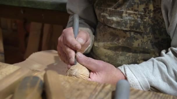 Menuisier Continue Fabriquer Une Figurine Hibou Bois Vue Face — Video