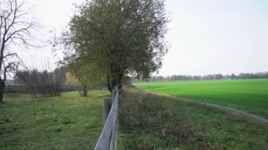 Çitin arkasında üç at otluyor. Başlangıçta, tarlaya bir bakış ve atlara geçiş. Bir at çitin altından bir şey çıkarmaya çalışıyor.