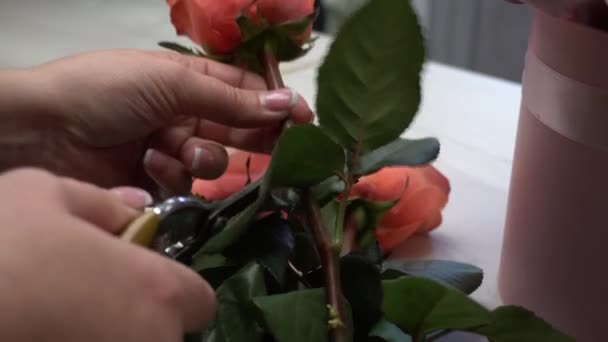 Kwiaciarnia Tnie Różę Wkłada Koszyka Bukietowego — Wideo stockowe