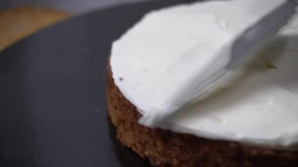Λευκή Κρέμα Αλείφεται Μια Σπάτουλα Ένα Κέικ Καρότου Σπόγγου Κοντινό — Αρχείο Βίντεο
