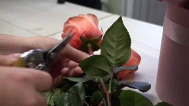 Çiçekçi buket için gül goncasını keser. Tomurcuğu çiçekli süngere yerleştirir. Kutuda bir buket