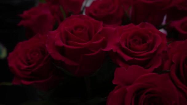 Czerwone Róże Wazonie Dla Kwiaciarni Widok Góry Kwiaty Dla Kwiaciarni — Wideo stockowe