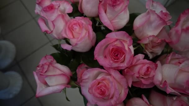Rosa Rosor Vas För Florist Ovanifrån Blommor För Blomsterhandlare — Stockvideo