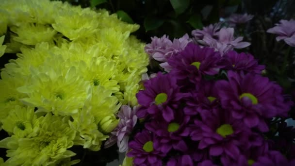 Crisântemos Brancos Rosa Roxos Vaso Para Vista Superior Florista Flores — Vídeo de Stock