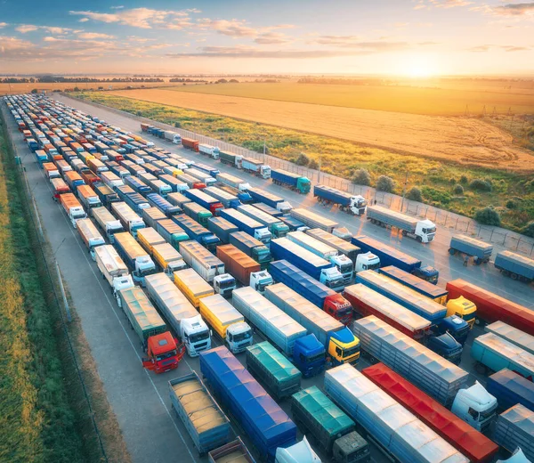 Yazın gündoğumunda terminaldeki renkli kamyonların hava görüntüsü. Lojistik merkezin en üst görüntüsü. Ağır endüstri. Ulaşım. Kargo nakliyesi, nakliye. Uluslararası taşımacılık. Arabaların üstünden görünüm