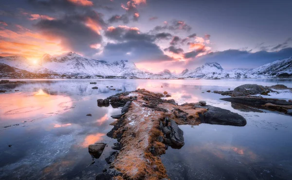 冬の夕方にはカラフルな夕日で海の海岸 美しい雪の山とピンクの雲と青い空 ノルウェーのロフテン島 雪の中の岩 水の中の反射と鮮やかな風景 — ストック写真