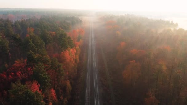 Aerial view of railroad in colorful forest at foggy sunrise — Vídeo de stock