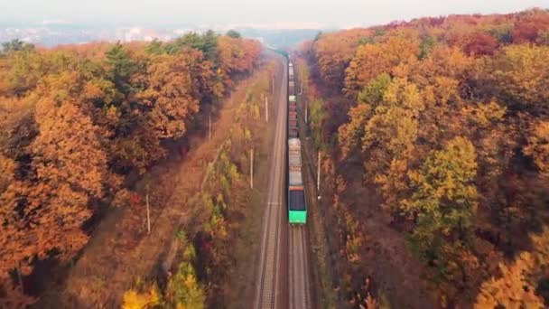 Freight train in beautiful forest in fog at sunrise in autumn — Vídeo de stock