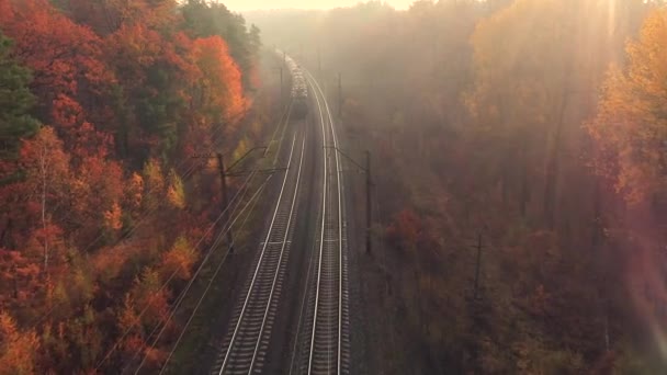 Goederentrein in prachtig bos in mist bij zonsopgang in de herfst — Stockvideo