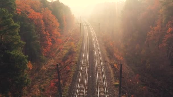 Aerial view of railroad in colorful forest at foggy sunrise — Stok Video