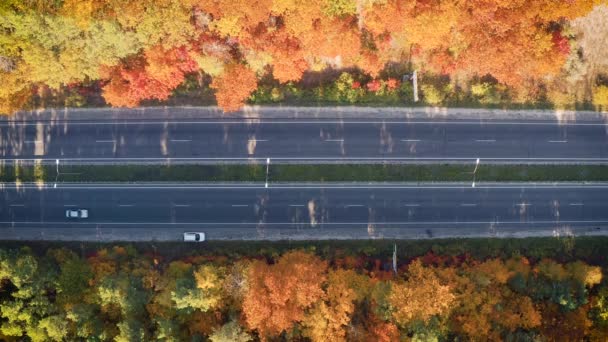 Vista aérea de la carretera en el hermoso bosque de otoño al atardecer — Vídeo de stock