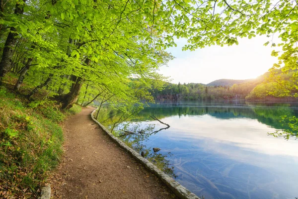 春天日落时分，在湖边美丽的森林里走着一条小路 — 图库照片