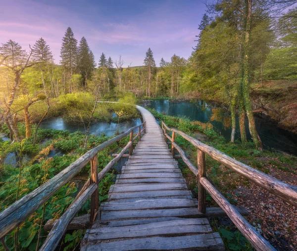Dřevěná Stezka Zeleném Lese Plitvických Jezerech Chorvatsko Při Západu Slunce — Stock fotografie